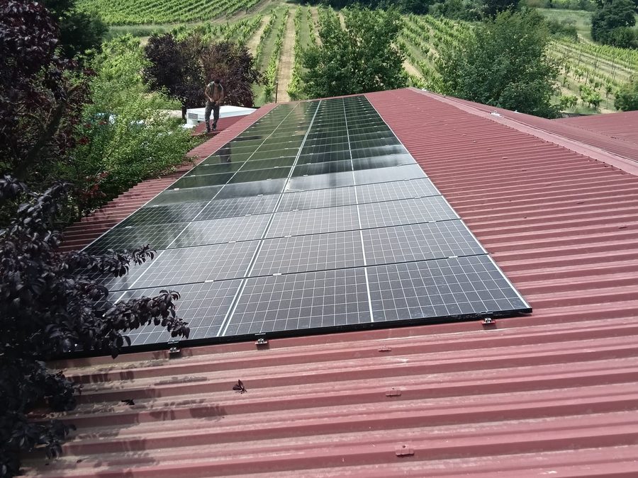 Pannelli fotovoltaici su un tetto, con le vigne intorno